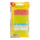 Семена Микрозелень Свекла, 5 г - Фото 2