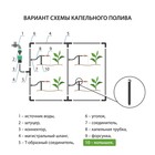 Колышек для капельной трубки, d=5 мм, пластик, Greengo - Фото 7