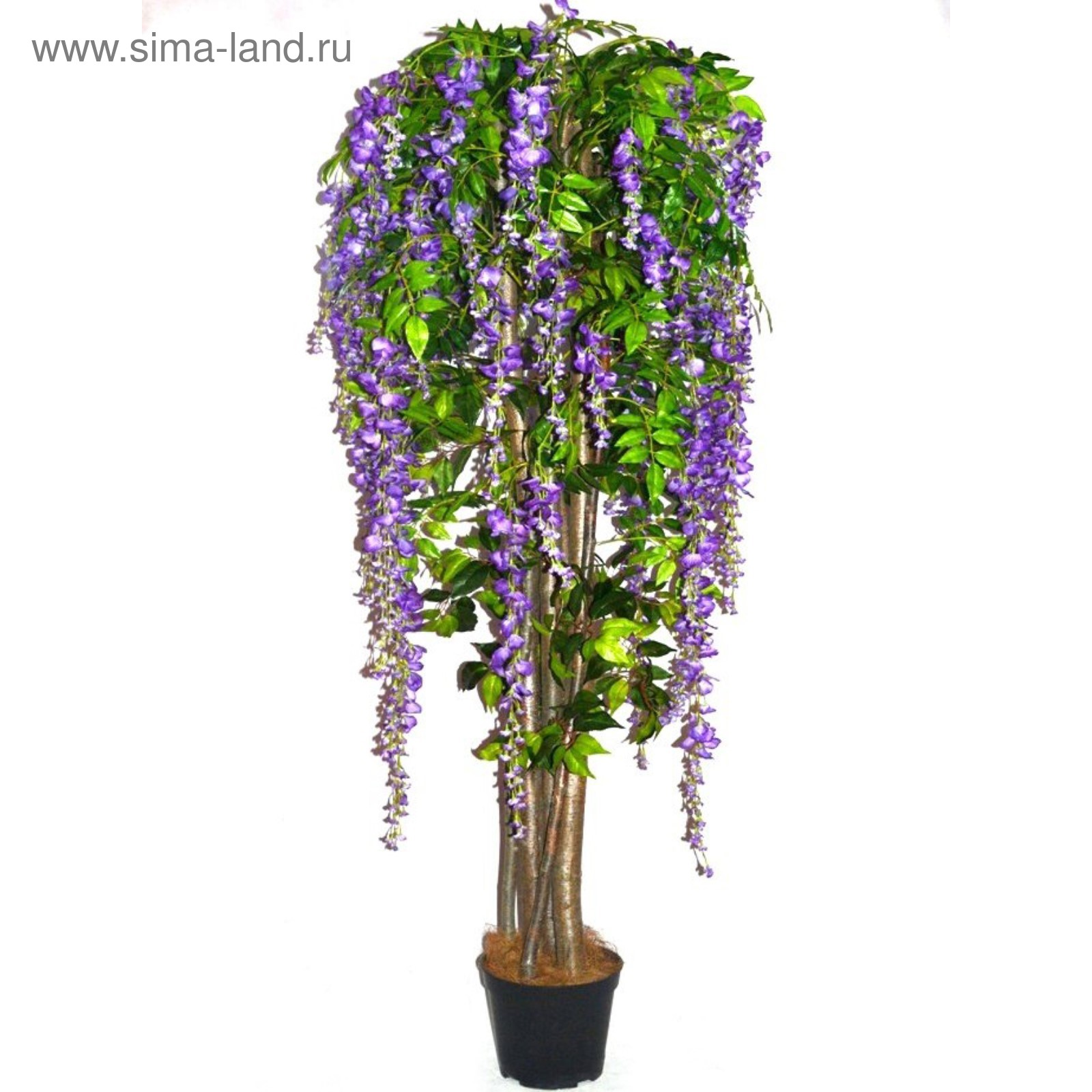 Искусственное дерево для интерьера купить недорого акация Искусственное дерево для интерьера купить недорого акация