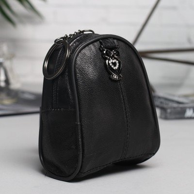 Кошелёк женский, отдел на молнии, цвет чёрный