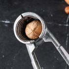 Орехокол «Ретро», 15 см, микс, алюминий - Фото 4