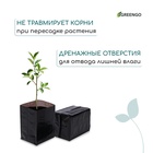 Пакет для рассады, 1 л, 9×18 см, полиэтилен, толщина 50 мкм, с перфорацией, чёрный, Greengo - Фото 4