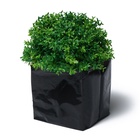 Пакет для рассады, 300 мл, 13×7 см, полиэтилен, толщина 50 мкм, с перфорацией, чёрный, Greengo - Фото 6