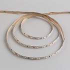 Комплект светодиодной ленты TDM, 12В, SMD2835, 3 м, IP20, с аксесс., 60 LED/м, 6000К - Фото 2