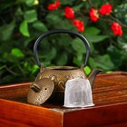 Чайник чугунный Доляна «Волна. Этно», 300 мл, с ситом, цвет бронзовый - Фото 2