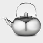 Заварочный чайник «Арес», 1.5 л, с ситом, нержавеющая сталь - Фото 1