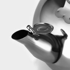 Заварочный чайник «Арес», 1.5 л, с ситом, нержавеющая сталь - Фото 4