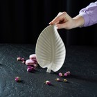 Блюдо сервировочное «Линден», 20×13×2 см, керамика, белое - Фото 5