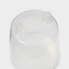 Кашпо для цветов со вставкой «Грация», 2.8 л, прозрачное - Фото 5