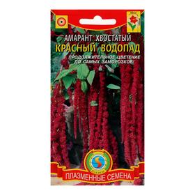 Семена Амарант хвостатый "Красный водопад", 0,3 г