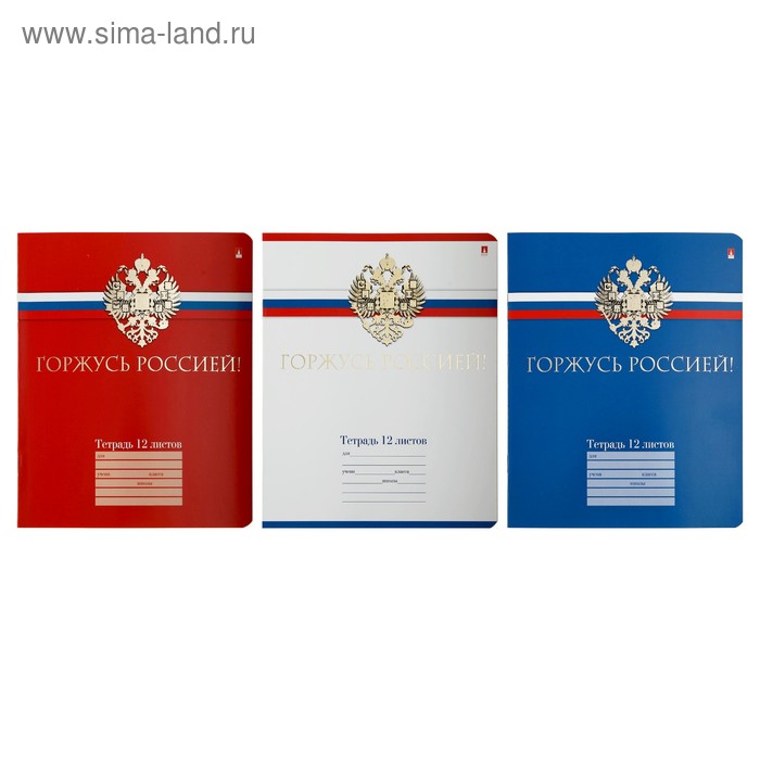 Тетрадь 12 листов в клетку «Тетрадь российского школьника», обложка мелованный картон, фольга, МИКС - Фото 1