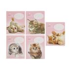 Тетрадь 12 листов в линейку "Котята", обложка мелованная бумага, МИКС - Фото 1