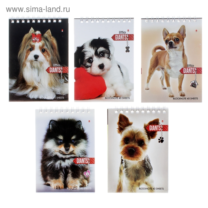 Блокнот А6, 40 листов на гребне "Собаки", обложка ламинированный картон, МИКС - Фото 1