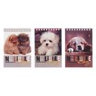 Блокнот А6, 40 листов на гребне «Собаки», обложка ламинированный картон, МИКС - Фото 4