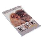 Блокнот А6, 40 листов на гребне "Собаки", обложка ламинированный картон, МИКС - Фото 2