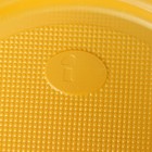 Тарелки пластиковые одноразовые, d= 21 см, цвет жёлтый, 12 шт/уп - Фото 5