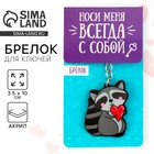 Брелок для ключей акриловый «Енот», 3.5×10 см - Фото 1