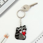 Брелок для ключей акриловый «Енот», 3.5×10 см - Фото 5