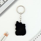 Брелок для ключей акриловый «Енот», 3.5×10 см - Фото 4