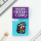 Брелок для ключей акриловый «Енот», 3.5×10 см - Фото 6