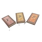 Записная книжка А6+ 120 листов в линейку "Пещерные рисунки" с состаренными листами, микс - Фото 1