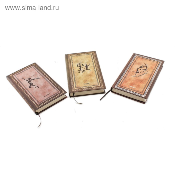 Записная книжка А6+ 120 листов в линейку "Пещерные рисунки" с состаренными листами, микс - Фото 1