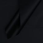 Пленка для цветов матовая "Фриз", черная , 57 х 57 см - фото 318136732