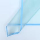 Пленка для цветов матовая "Фриз", голубая, 57 х 57 см - фото 9416977