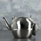 Чайник заварочный из нержавеющей стали «Аркадий», 3 л, цвет хромированный - Фото 4
