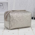 Косметичка дорожная, отдел на молнии, с ручкой, цвет серебро - Фото 2