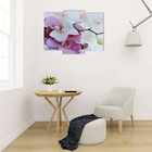 Модульная картина "Краповая орхидея"  (2-25х52; 1-30х60) 60х80 см - фото 9914088
