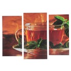 Модульная картина "Чай с мятой"  (2-25х52; 1-30х60) 60х80 см - фото 2544642