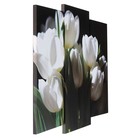 Модульная картина "Белые тюльпаны"  (2-25х52; 1-30х60) 60х80 см - фото 9914090
