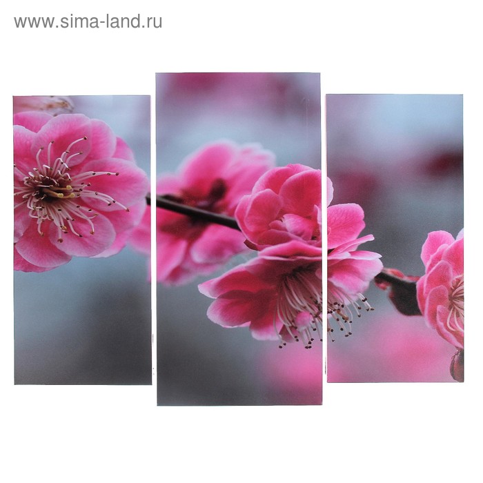 Модульная картина "Цветы сакуры"  (2-25х52; 1-30х60) 60х80 см - Фото 1