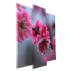 Модульная картина "Цветы сакуры"  (2-25х52; 1-30х60) 60х80 см - фото 9914094