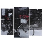 Модульная картина "Чёрно-белый велосипед"  (2-25х52; 1-30х60) 60х80 см - фото 8749654
