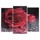 Модульная картина "Роза под дождём"  (2-25х52; 1-30х60) 60х80 см - Фото 1