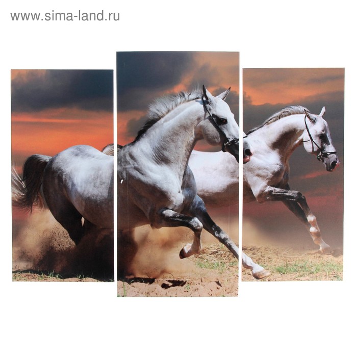 Модульная картина «Лошадиная грация», 60×80 см (2-25×52; 1-30×60) - Фото 1