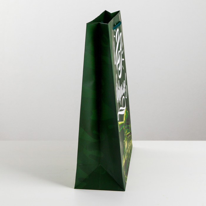 Пакет подарочный ламинированный вертикальный, упаковка, «Броня крепка», M 26 х 30 х 9 см - фото 1918818580