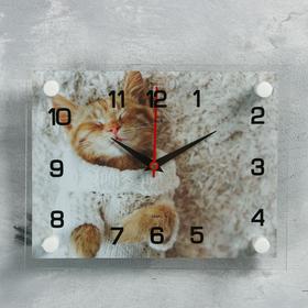 Часы-картина настенные, серия: Животный мир, "Мур-Мур", 20х26 см