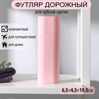 Футляр для зубной щётки и пасты, 19,5×6,5 см, цвет МИКС - Фото 1