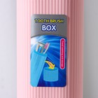 Футляр для зубной щётки и пасты, 19,5×6,5 см, цвет МИКС - Фото 2