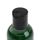 Омыватель стёкол Grass Mosquitos Cleaner, суперконцентрат (1:100) 250 мл - Фото 3