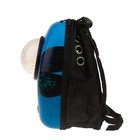 Рюкзак для переноски животных "Бабочка", с окном для обзора, 32 х 26 х 44 см, голубой - фото 8428713