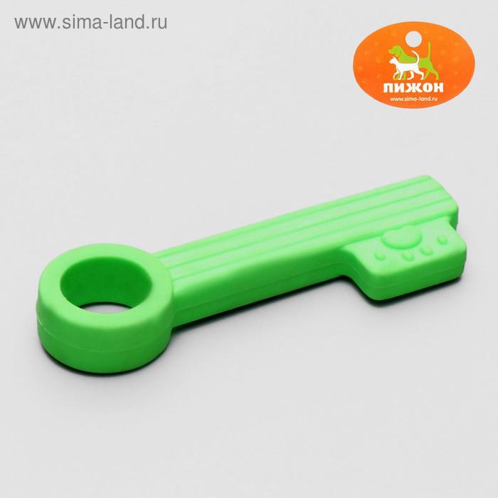 Игрушка жевательная "Ключик", TPR, 10 см, микс цветов - Фото 1