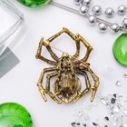 Брошь «Паук хищник», цвет изумрудный в черненом золоте - Фото 2