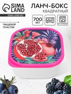 Ланч - бокс квадратный «Гранат», 700 мл - Фото 1