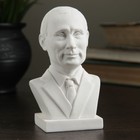 Бюст Путина 11,5см - фото 9743803