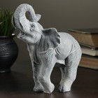 Сувенир "Слон большой новый" 17см - фото 8429044