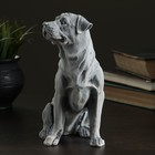 Сувенир "Ротвейлер (большой)" 19,5см - фото 20879559